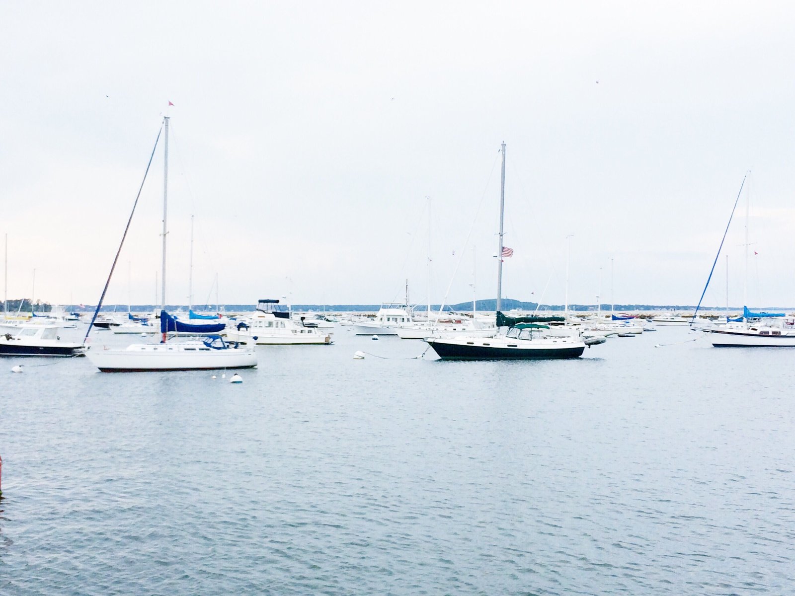 Does Boat Insurance Cover Electronics?